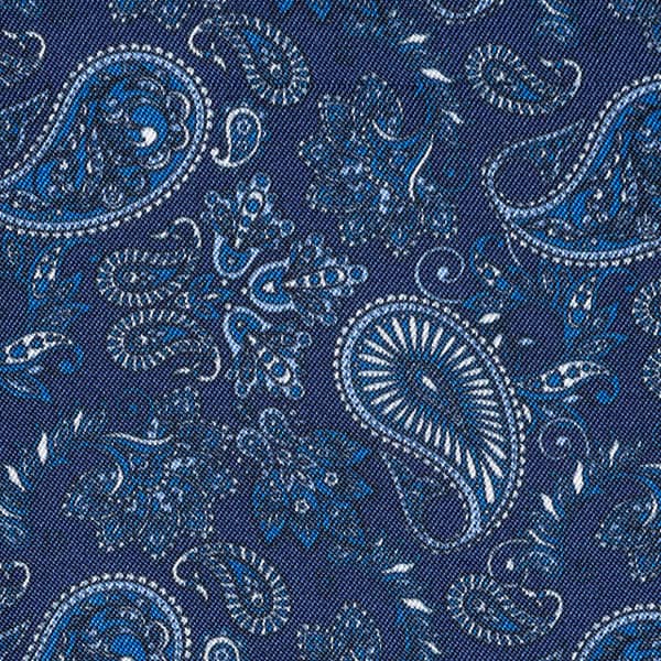 Paisley Blue
