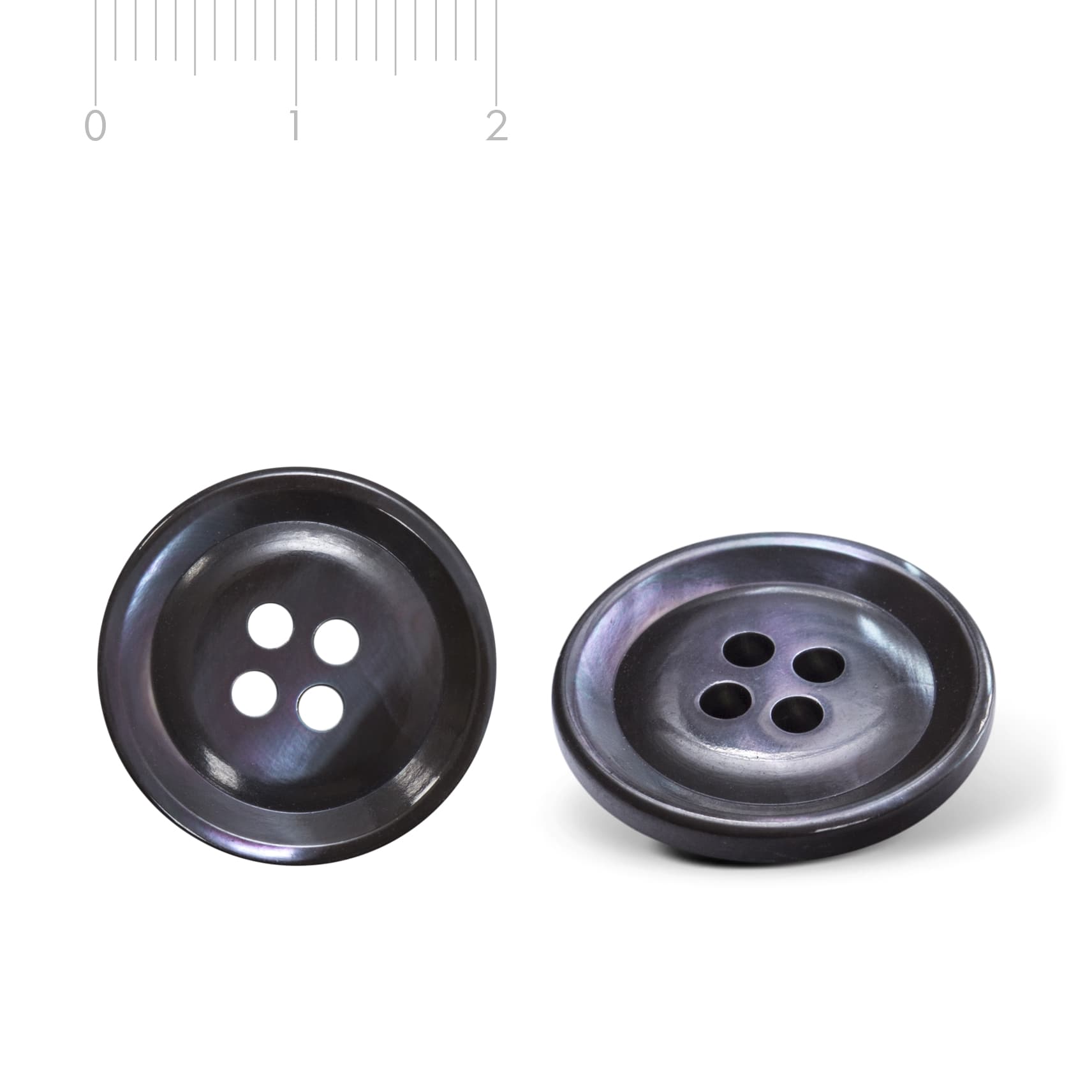 Ivory horn button B15