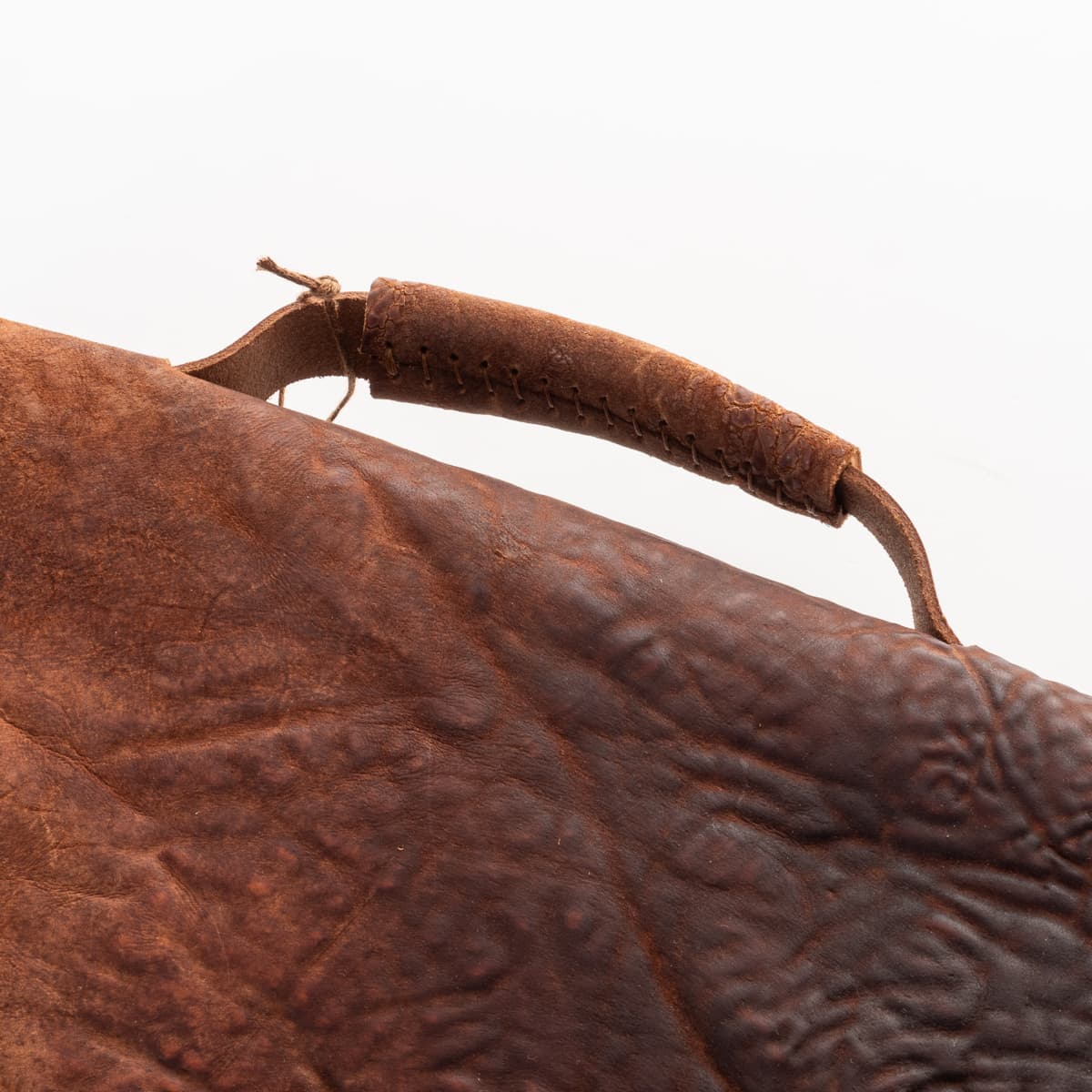 Shoto-bjobs-horse-culatta-brutta-dive-190-3-von-9 shoto-bjobs-horse-culatta-brutta-dive-190-3-von-9