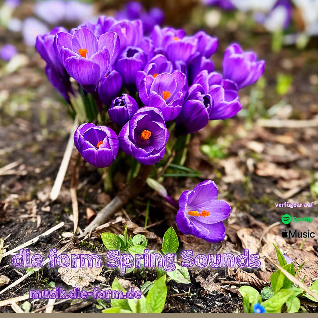 Spring Noises die form music for spring sounds