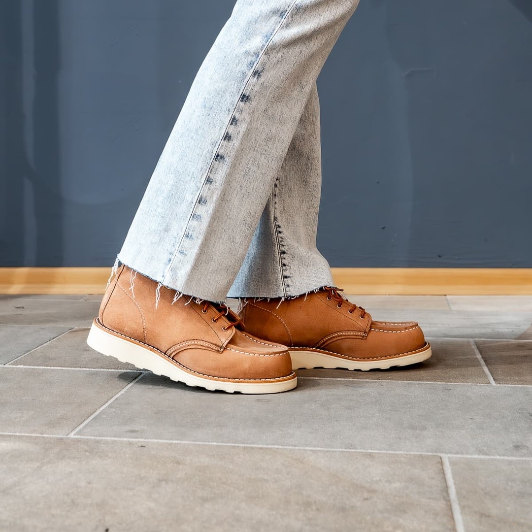 454045388_862880289053534_9116603286083961885_n