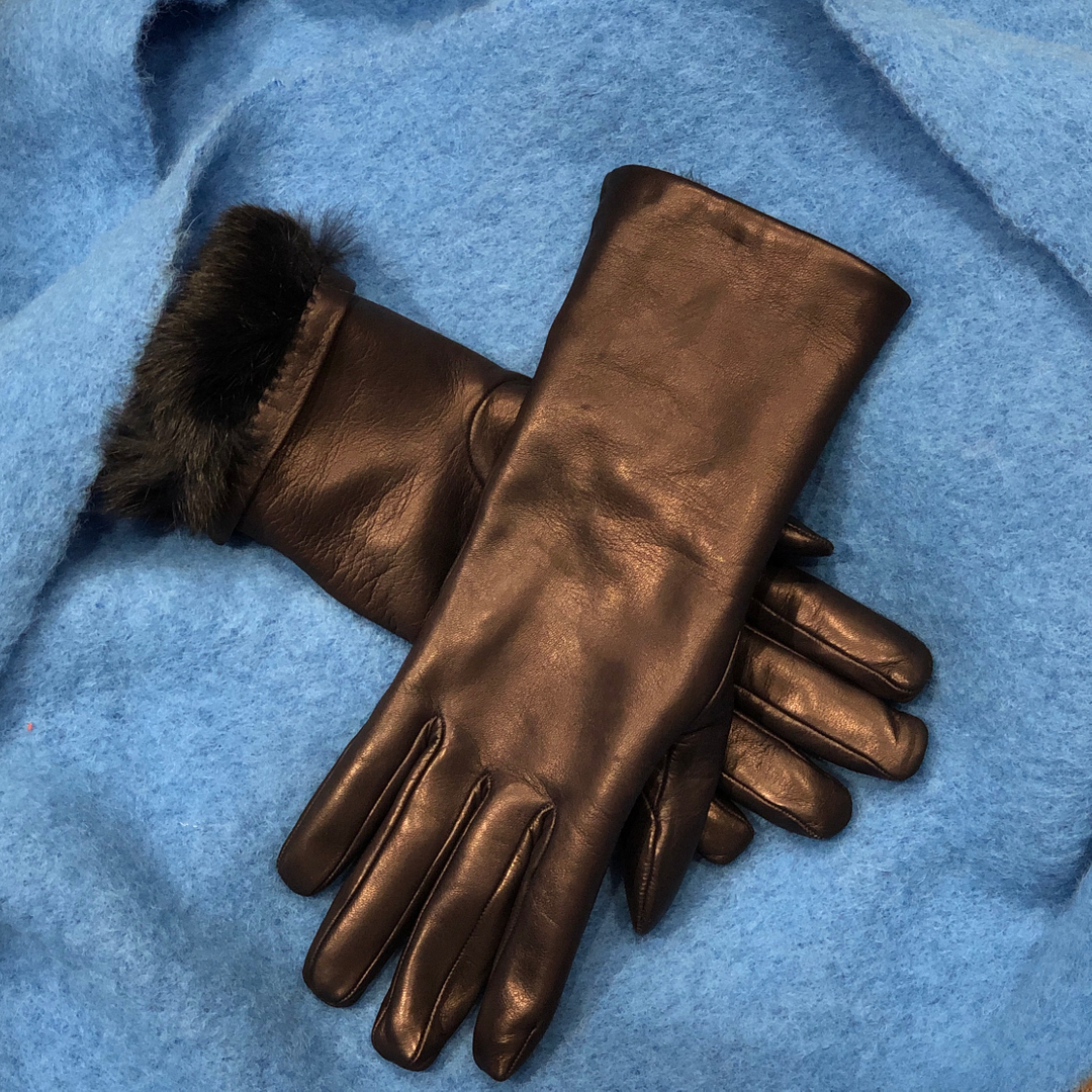 Elegante Begleiter. 309599472_427613042837797_1091460053104408610_n