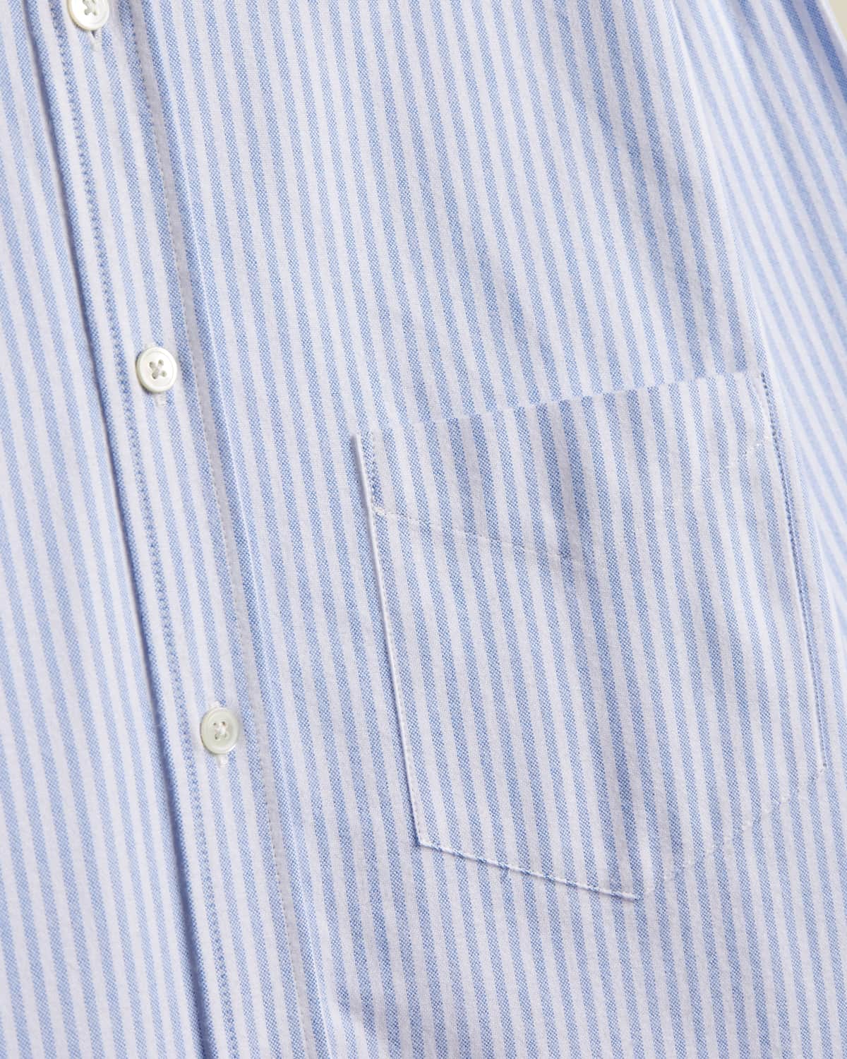 Striped Brushed Oxford Shirt