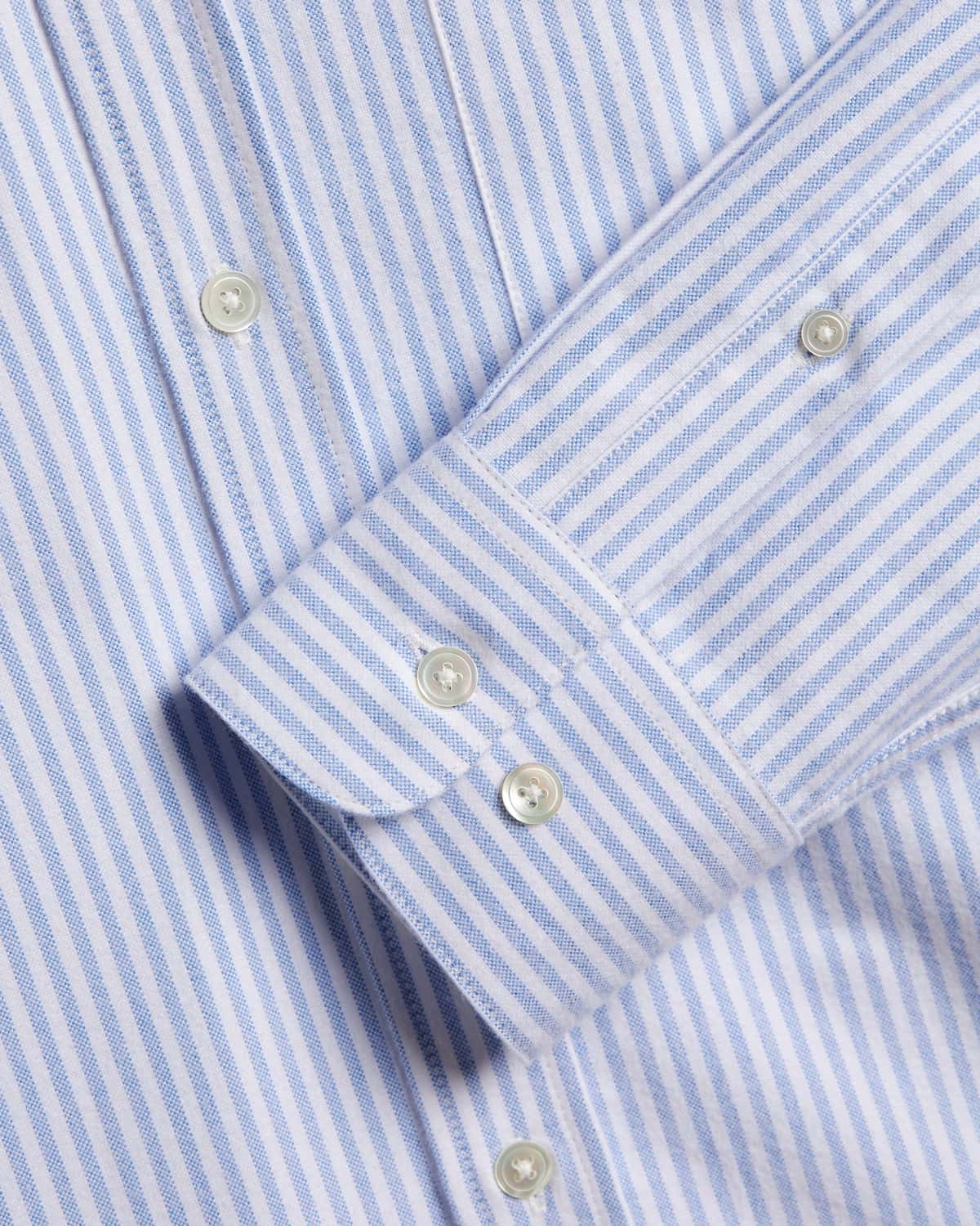 Striped Brushed Oxford Shirt