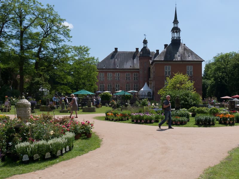 die-form-goedens-1090835-quer-pichi-1 die-form-goedens-1090835-quer-pichi-1